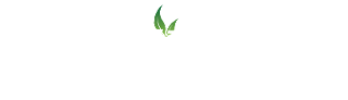 NatEdge Logo