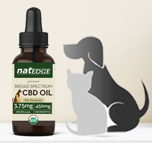 CBD for Pets